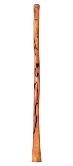 Epoxy Resin Finish Didgeridoo (NW161)